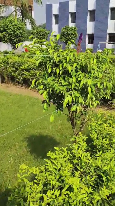 Sports & Activities Video